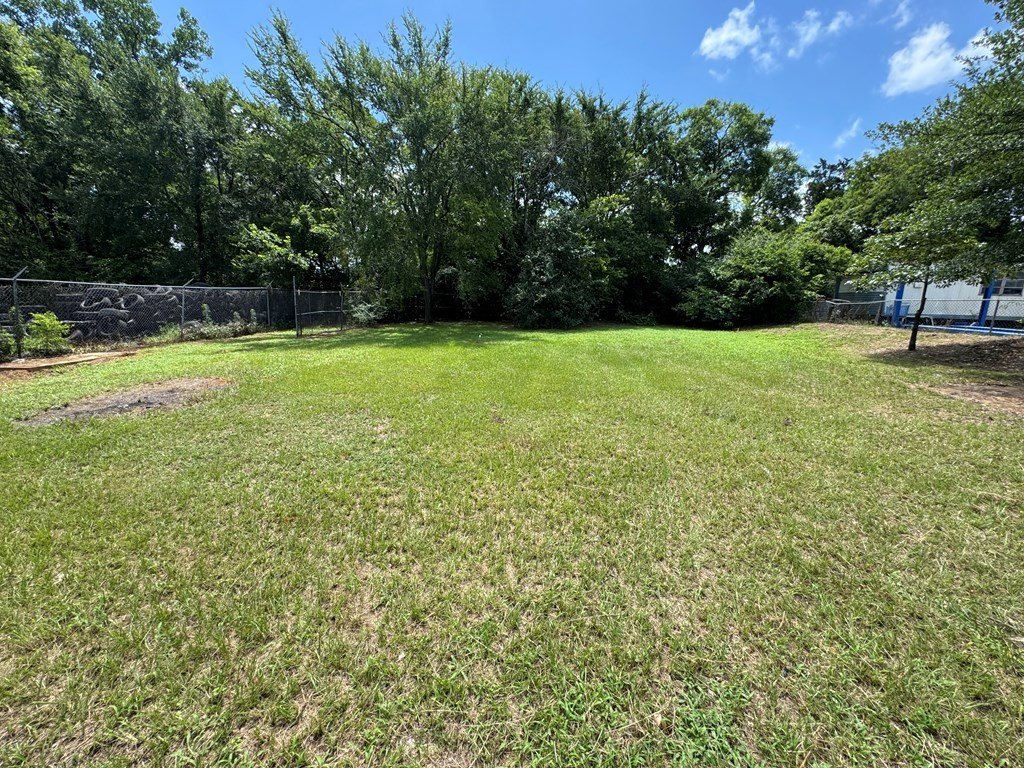 Picture 28