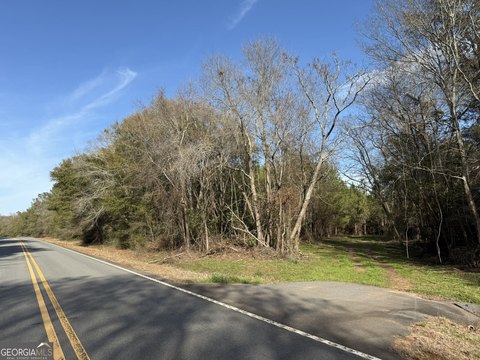 Land, Plains, GA