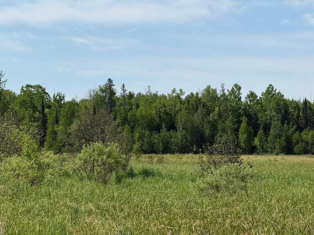 Picture 28