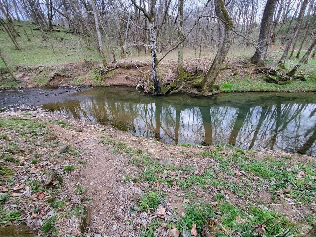 Picture 11