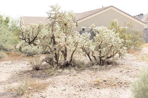 Land, Gold Canyon, AZ