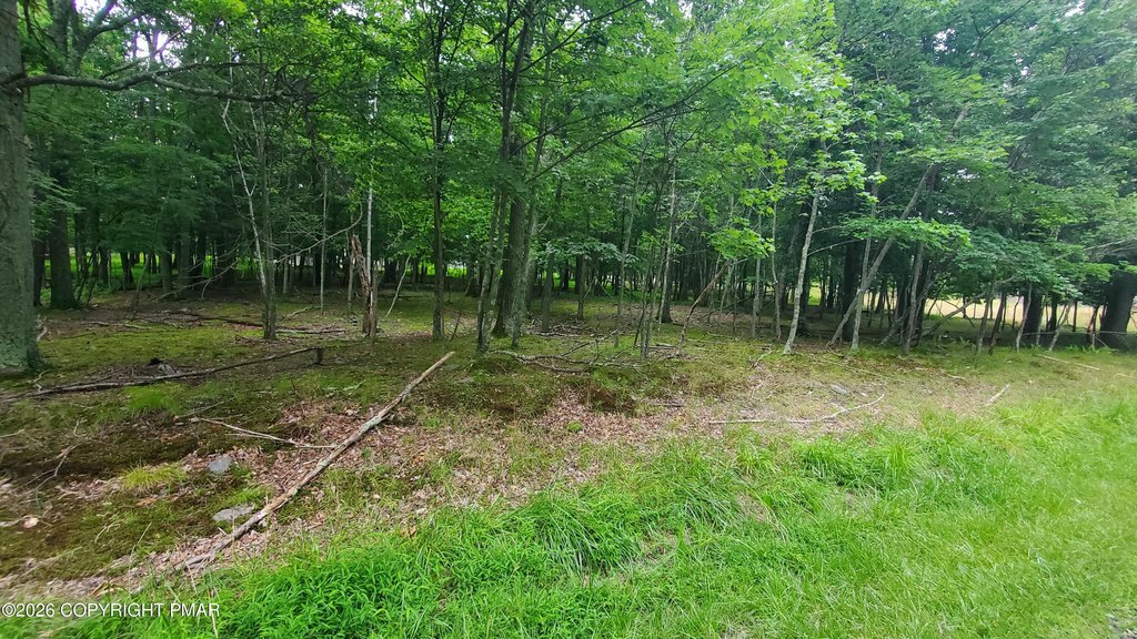 Picture 3
