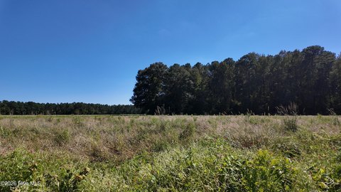 Land, Wallace, NC
