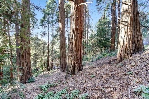 Crestline Treed Lot with Views