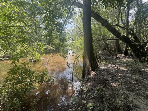 LAND - DeFuniak Springs, FL