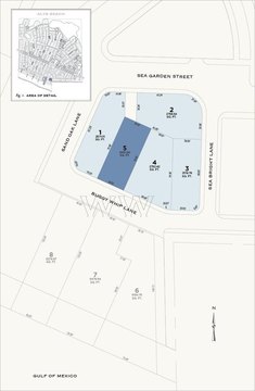 Inlet Beach Land Opportunity