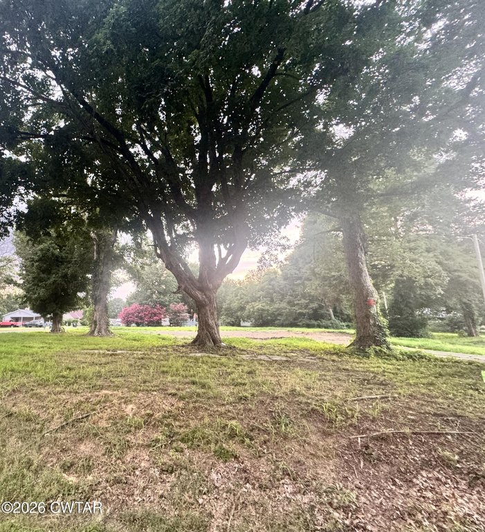 Picture 5