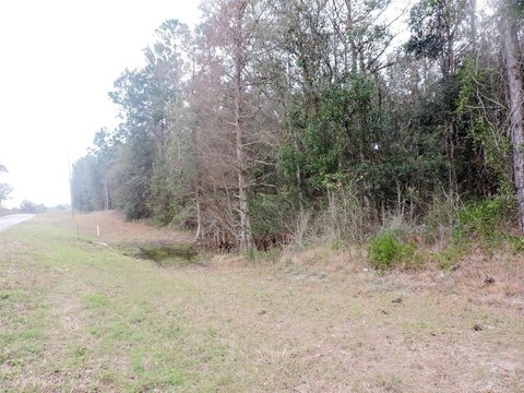 Undeveloped Land with Road Frontage