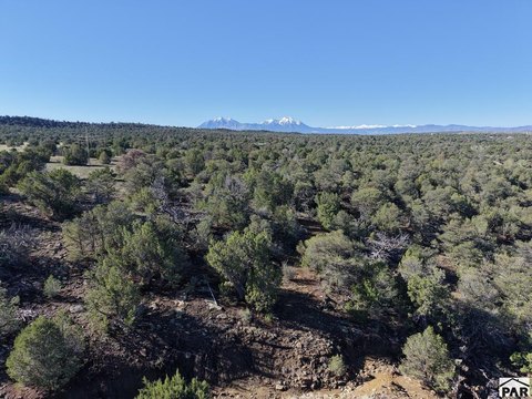 Land, Walsenburg, CO