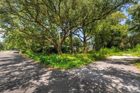 Land, Charleston, SC