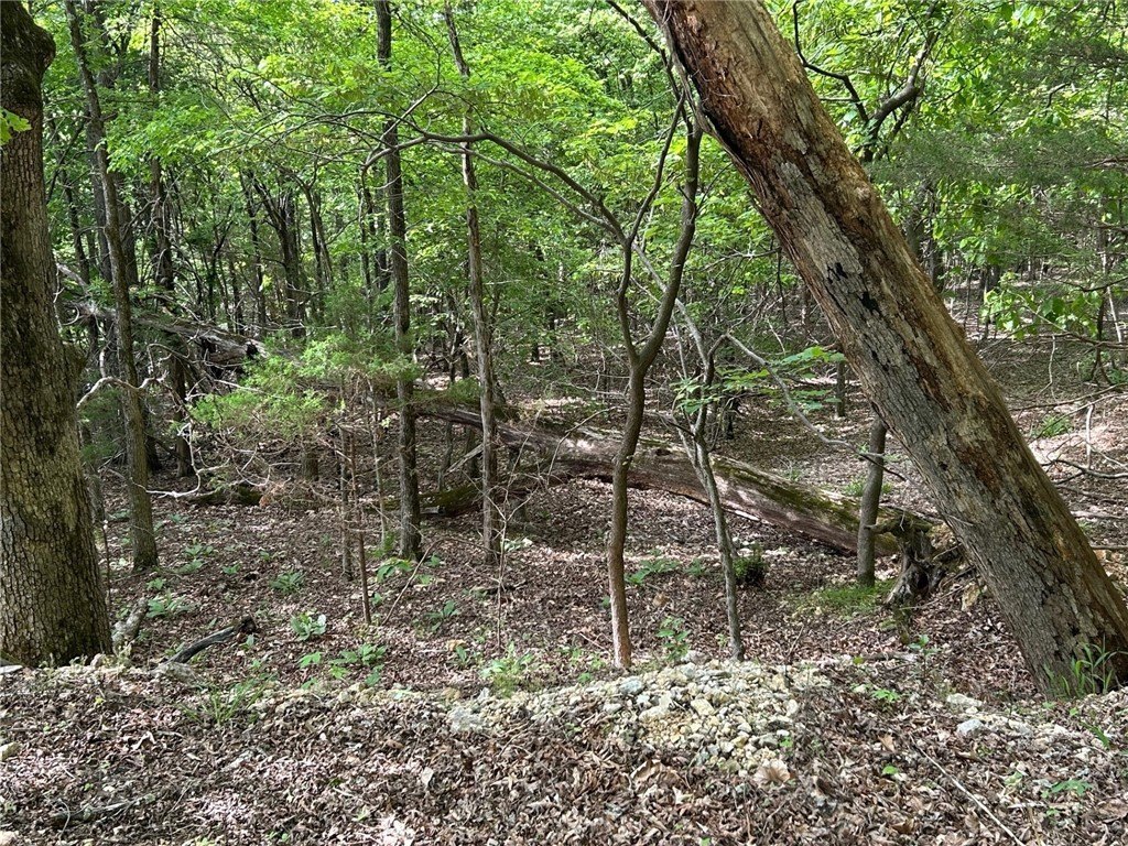 Picture 19