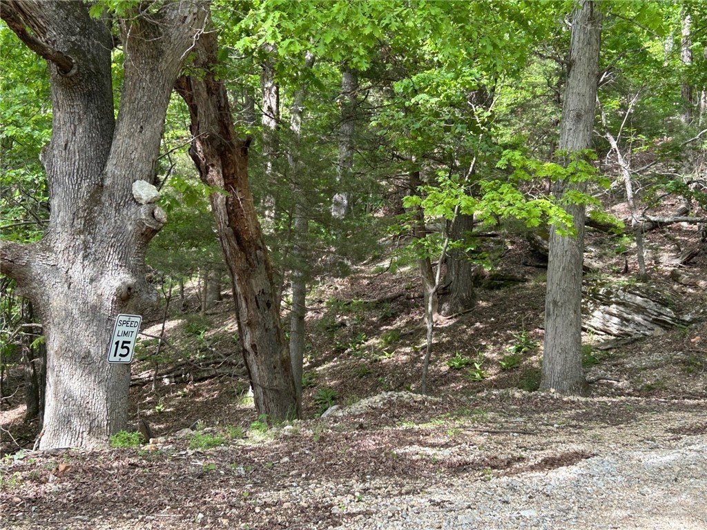 Picture 15