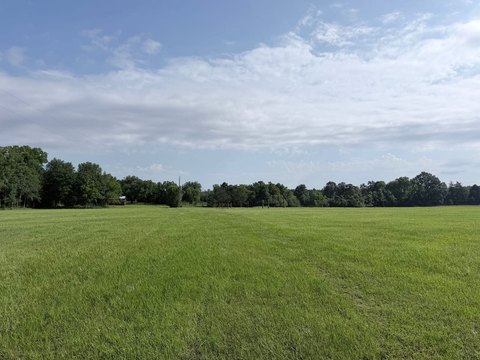 Fenced Pasture & Homesite Acreage