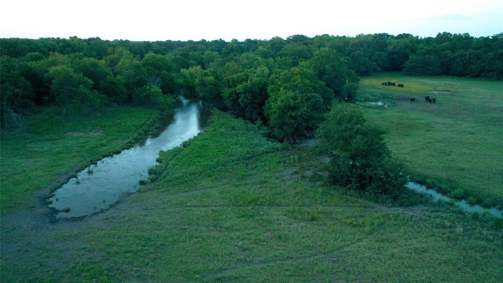 Picture 13