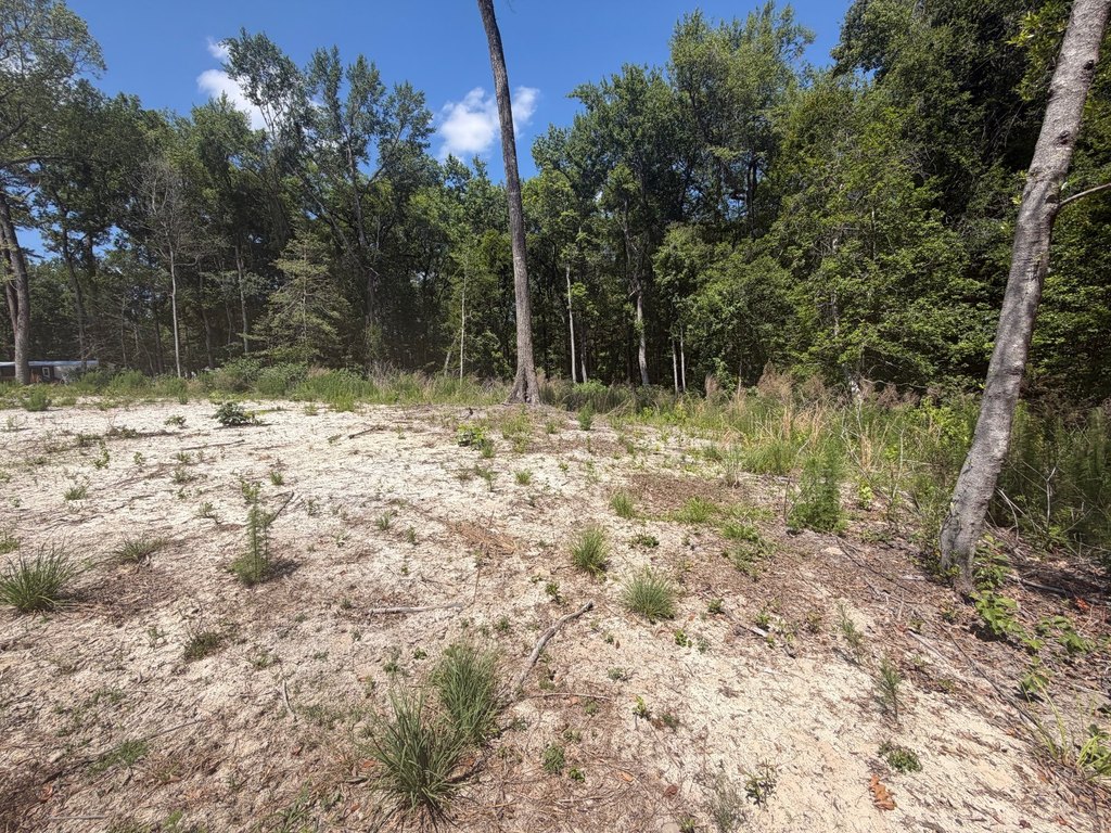 Picture 4