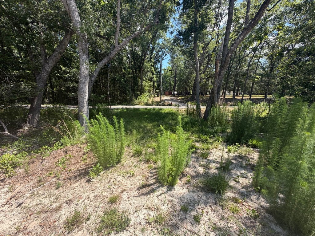 Picture 5