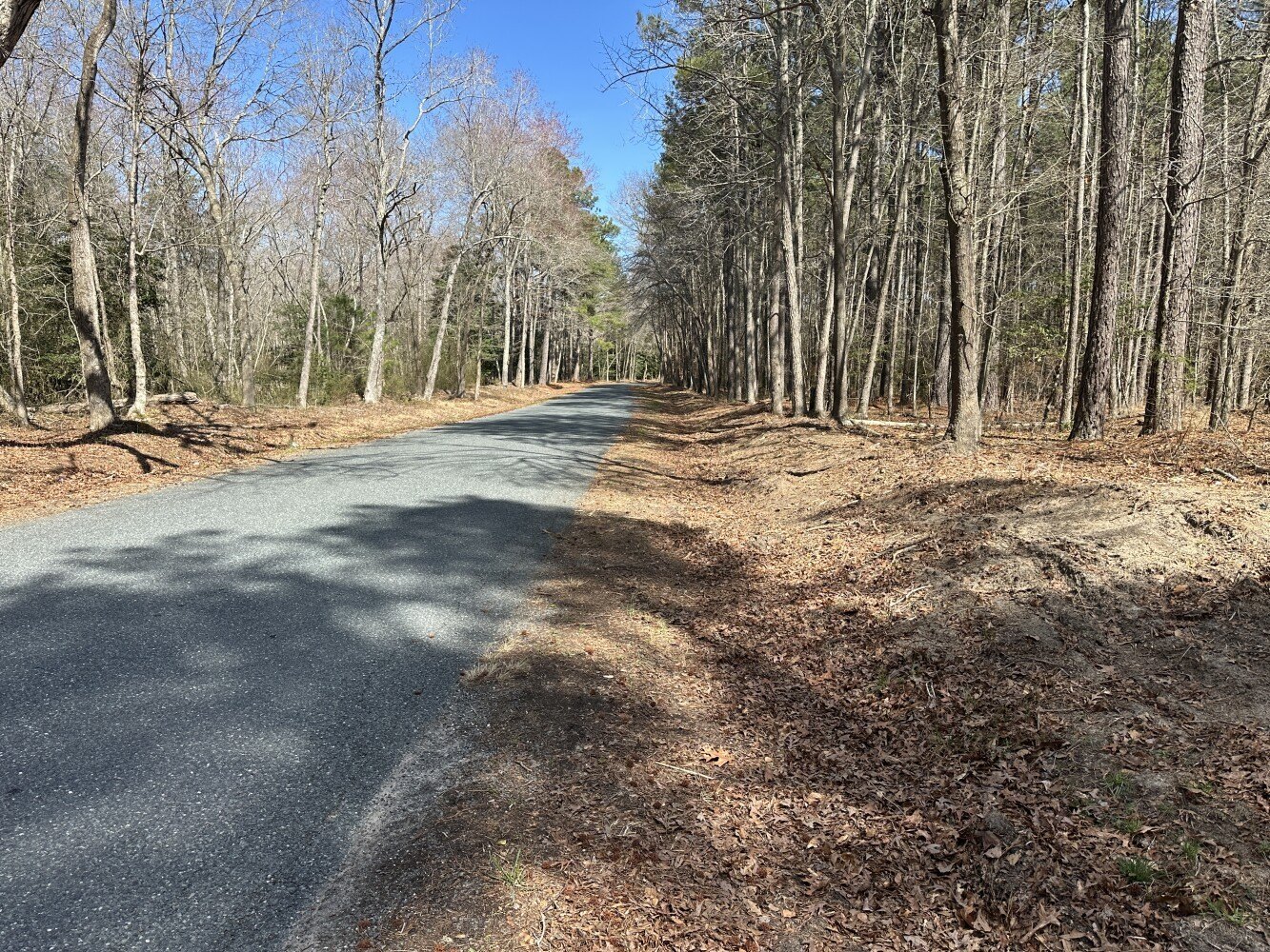 Recreational Land with Homesite Potential
