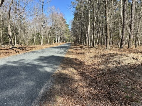 Recreational Land with Homesite Potential