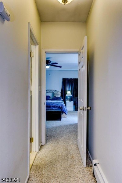 Picture 30