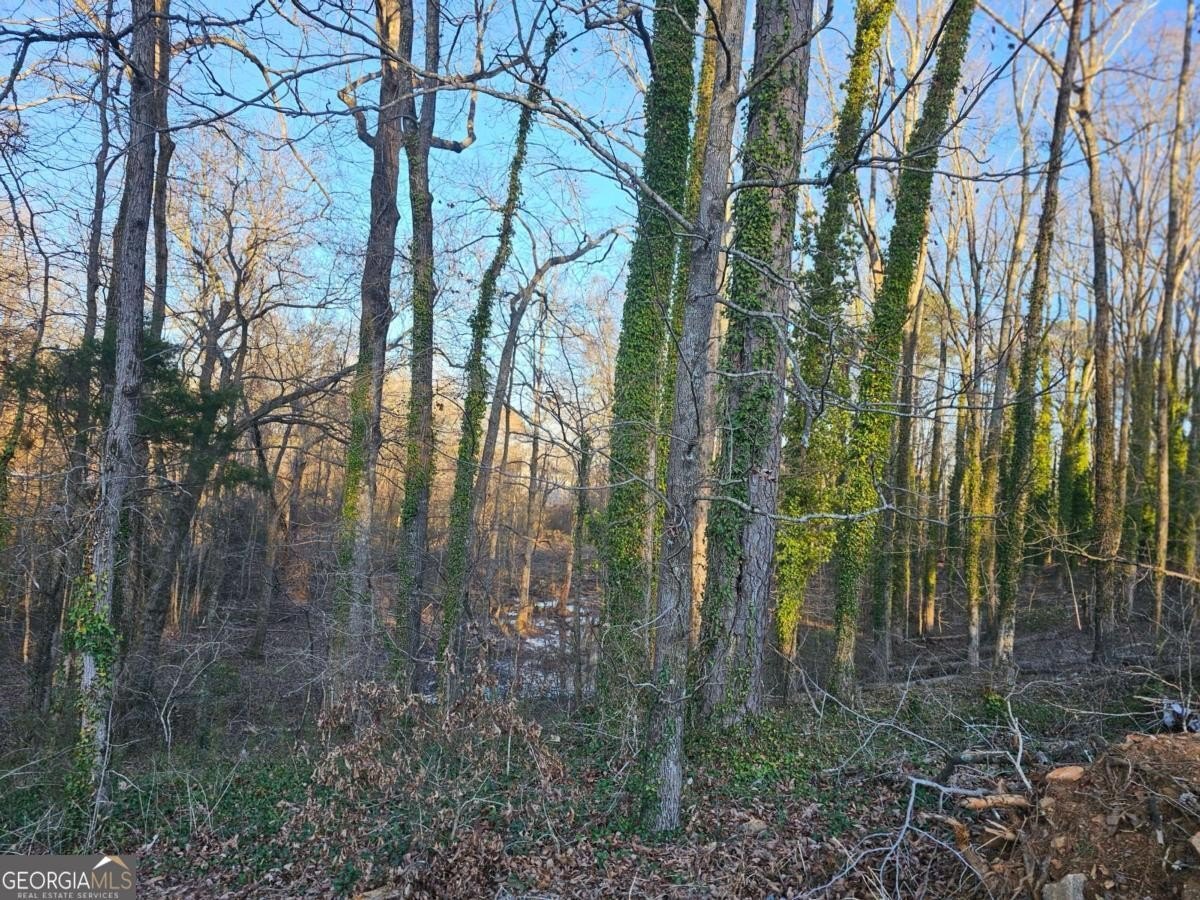 Conyers Land With Site Plan