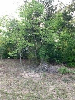 Picture 3
