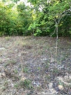 Picture 13