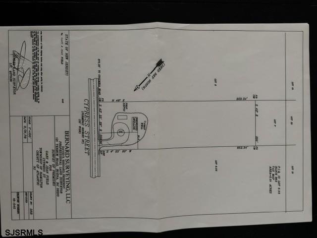 Picture 3