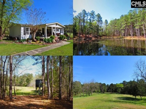 Secluded Acreage with Diverse Landscape