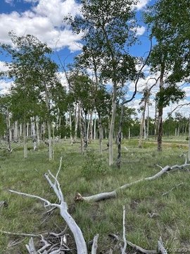 Land, Hartsel, CO
