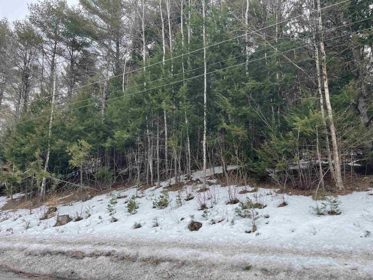 Two Acre Wooded Land Parcel