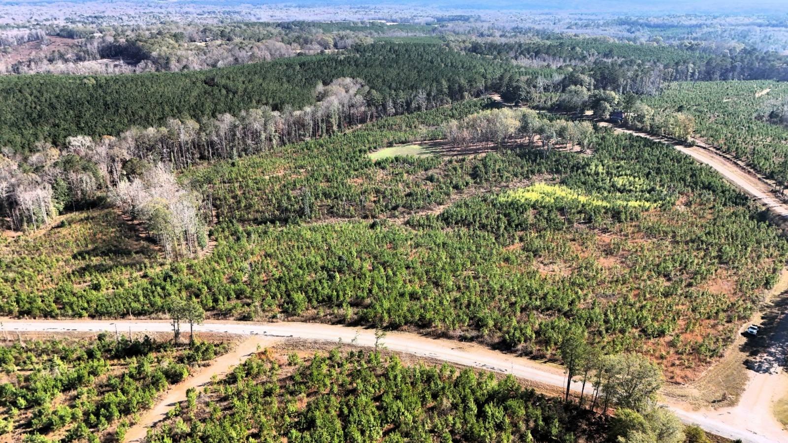 Banks, AL Vacant Land Parcel