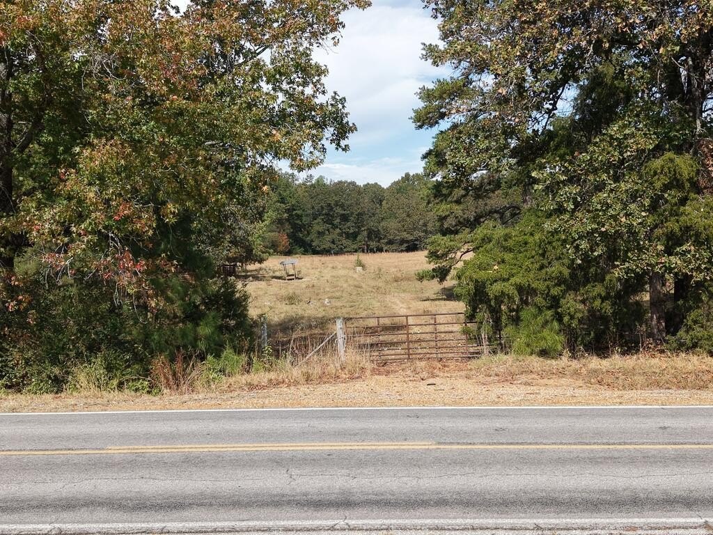 Picture 17
