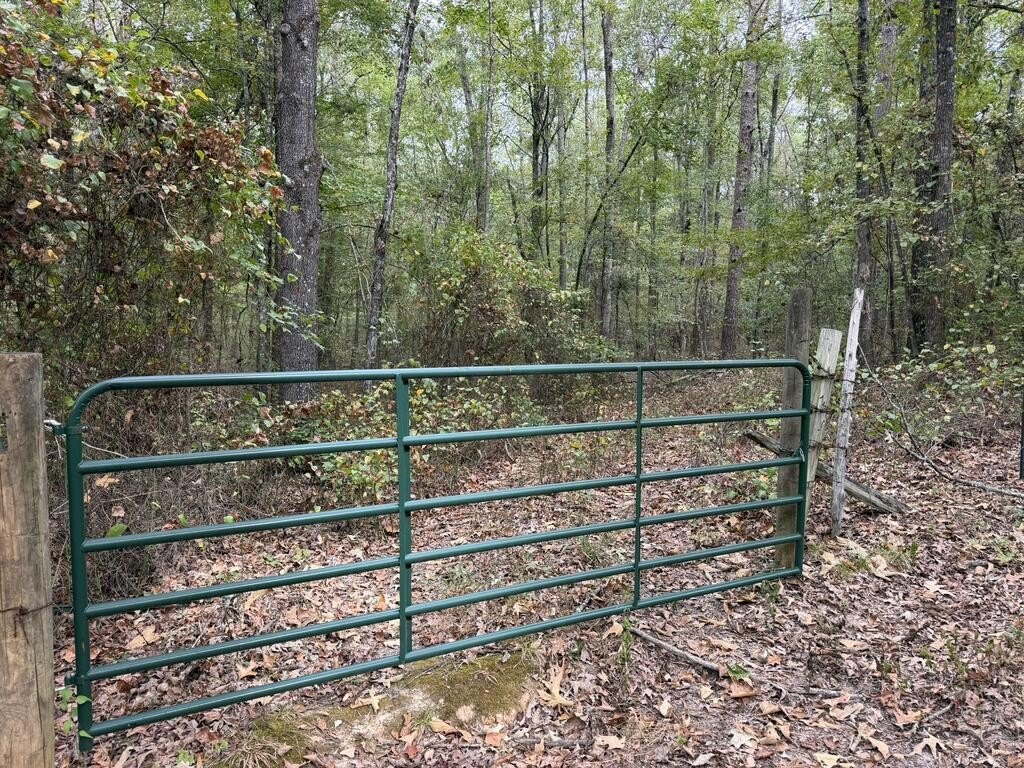 Picture 5