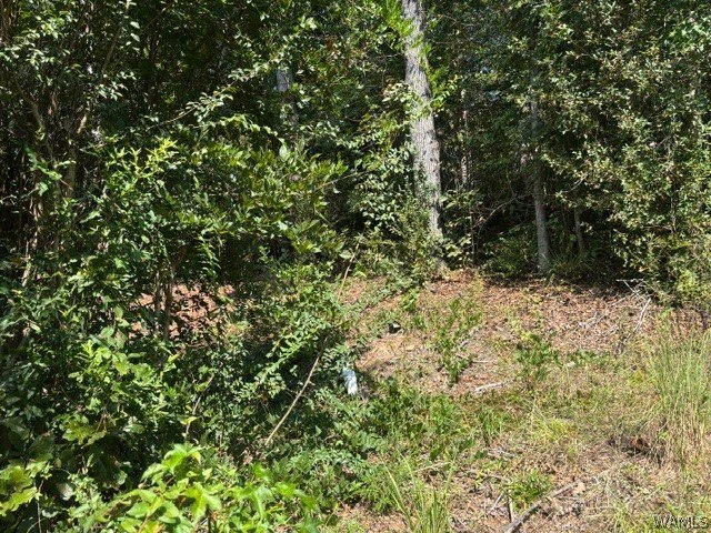 Picture 6