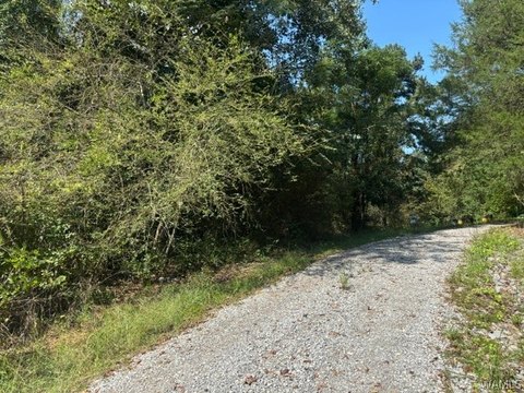 Land, Coker, AL