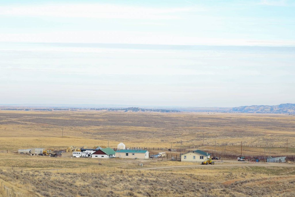 Picture 20
