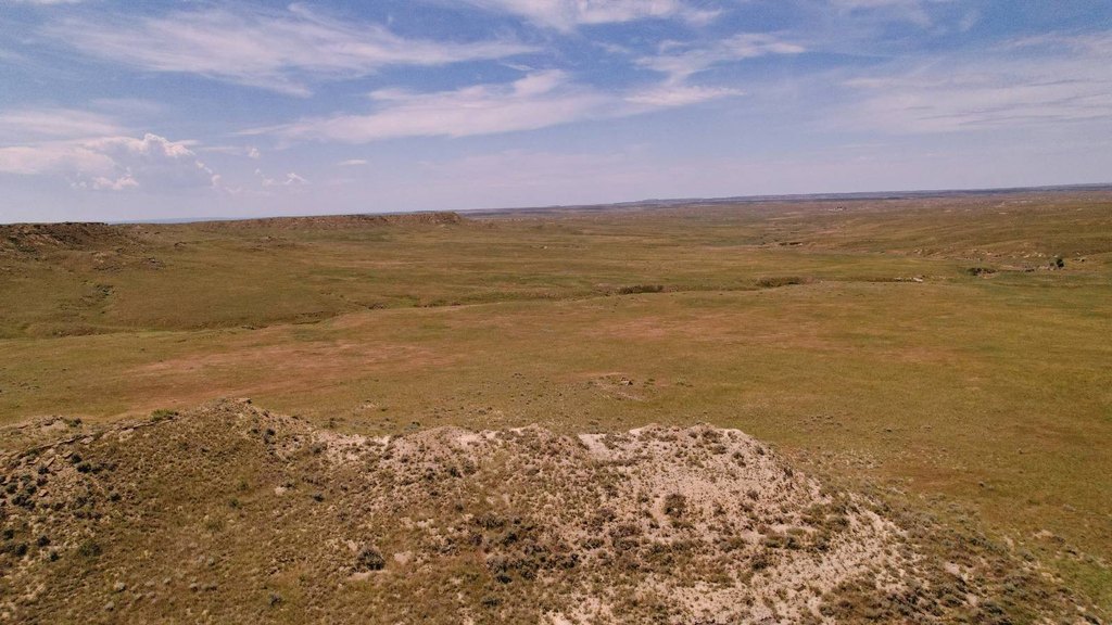 Picture 30