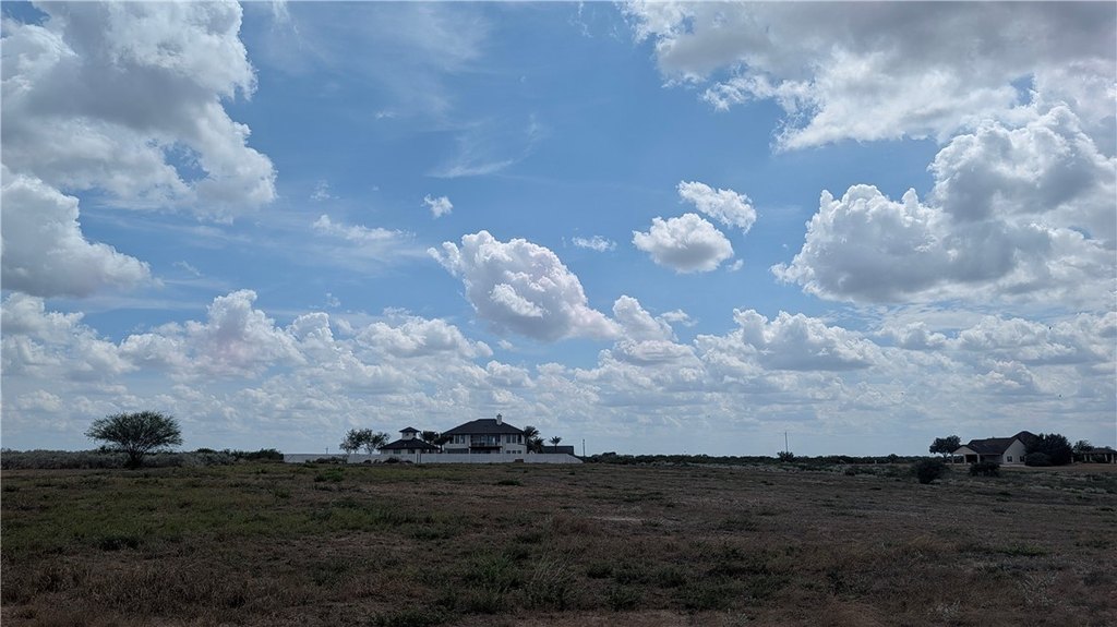 Picture 11