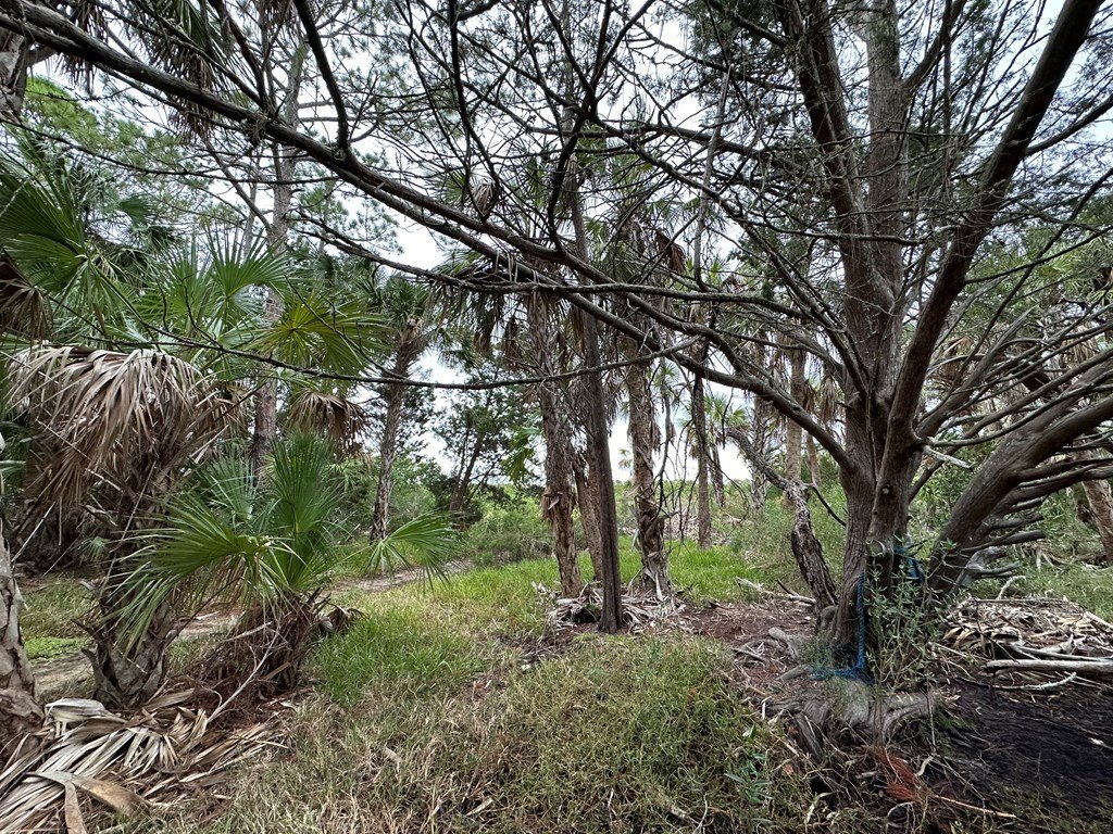 Picture 8