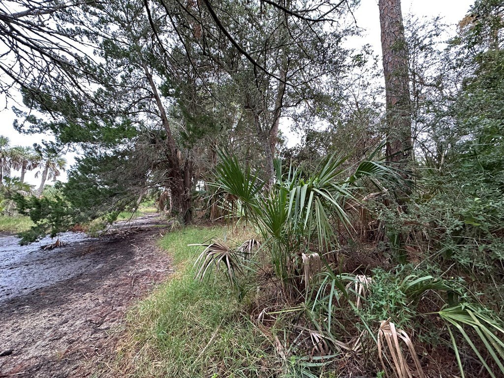 Picture 9