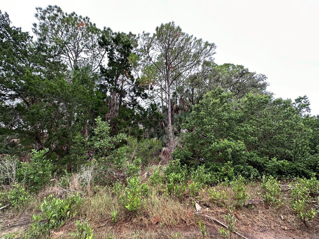 Picture 18