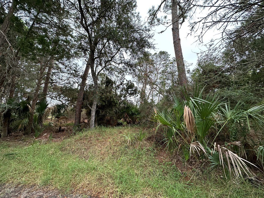 Picture 11