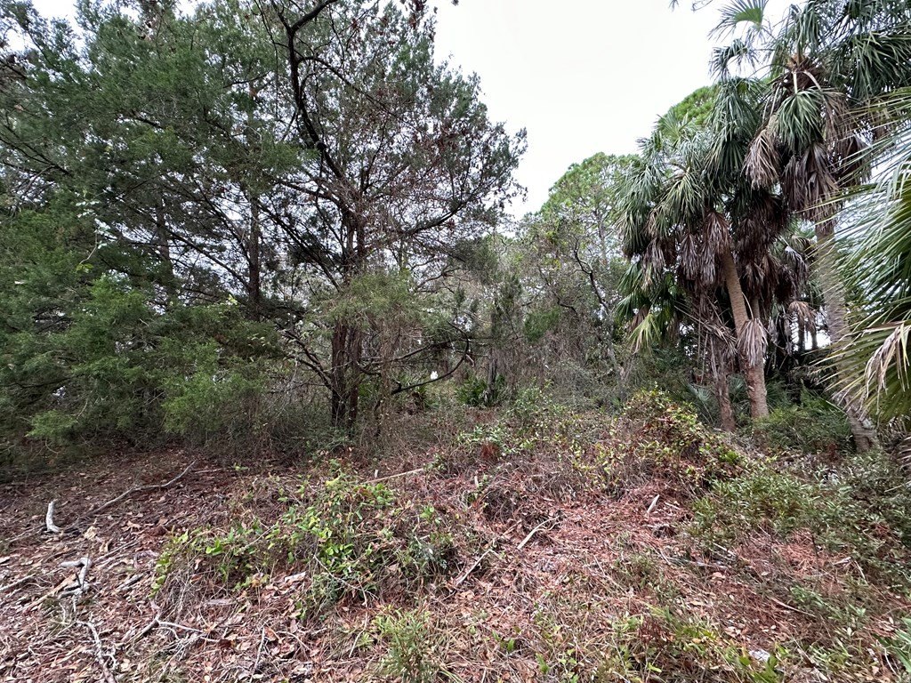 Picture 5