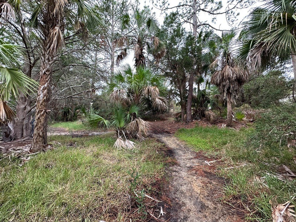 Picture 21