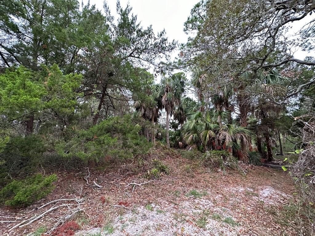 Picture 2