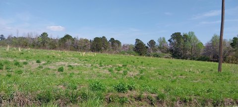 Cleared Land in Mullins, SC