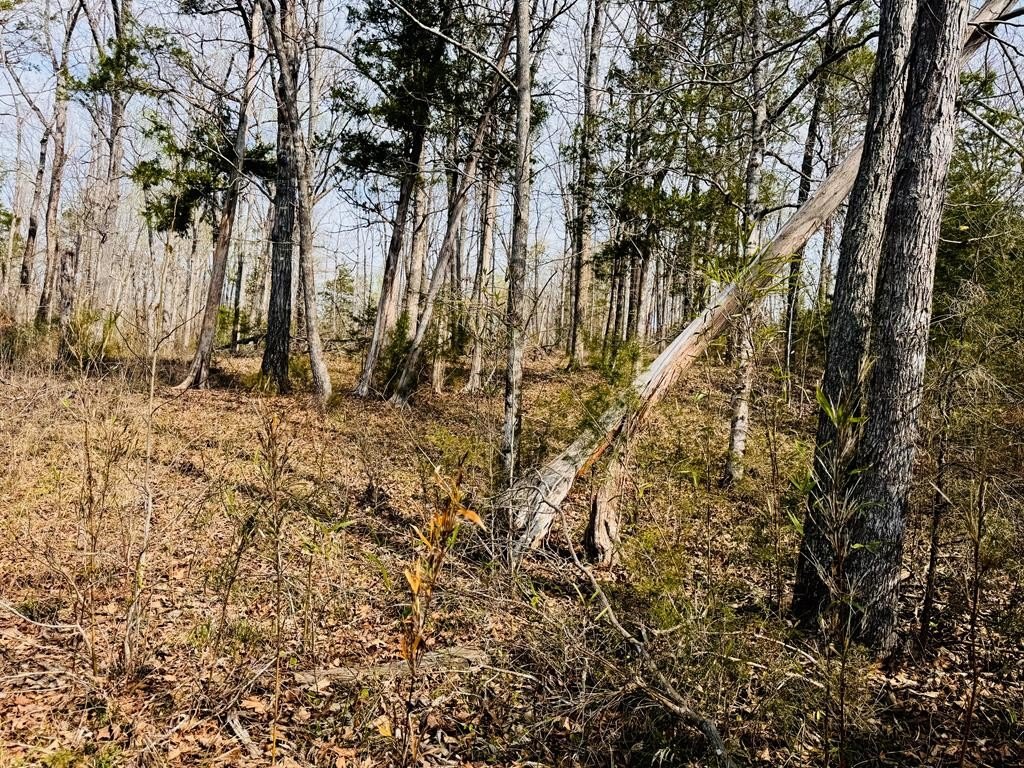 Picture 17