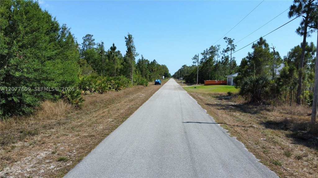 Picture 8
