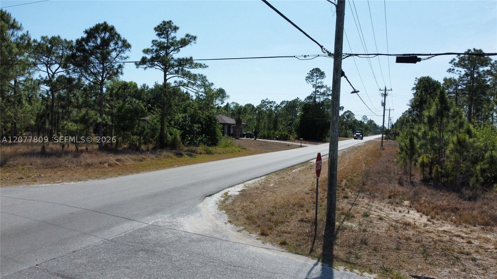 Picture 9