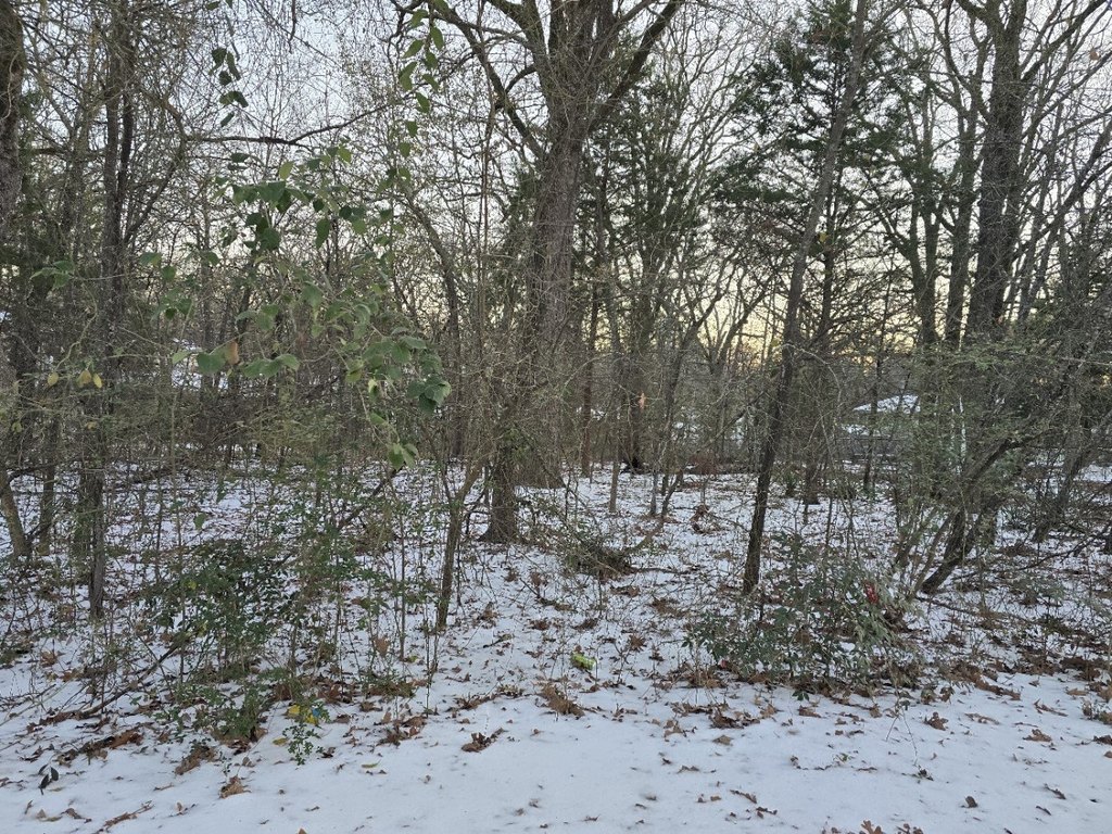 Picture 4